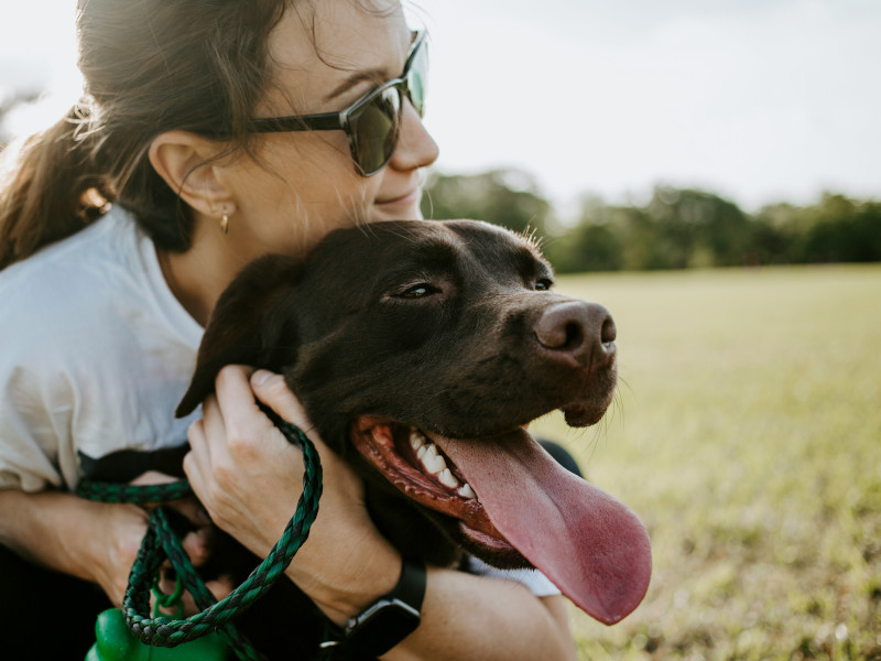 Tosse del Cane - Cosa Fare?